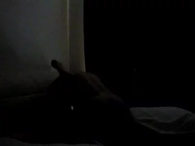 少妇高潮惨叫久久久久久欧美